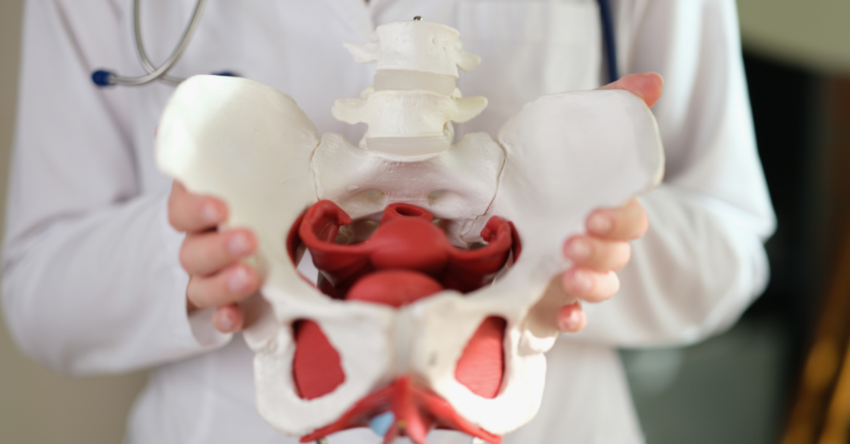 Hip Replacement